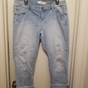 Torrid Jeans